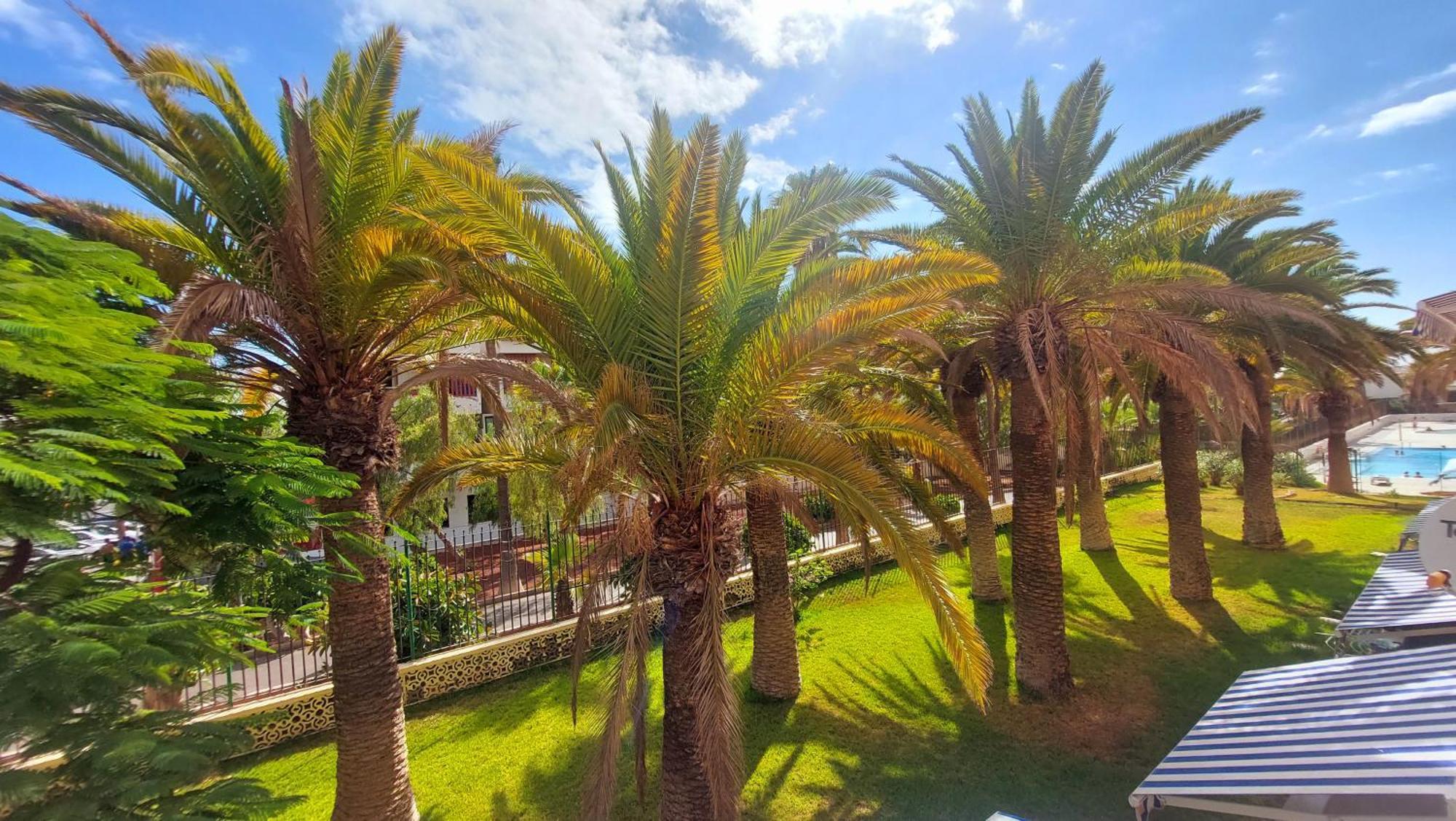 Apartamento Margarita Con Piscina En Playa Honda, Playa Las Americas Arona  Exterior photo